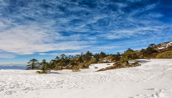 昆明轎子雪(xuě)山(shān)風光